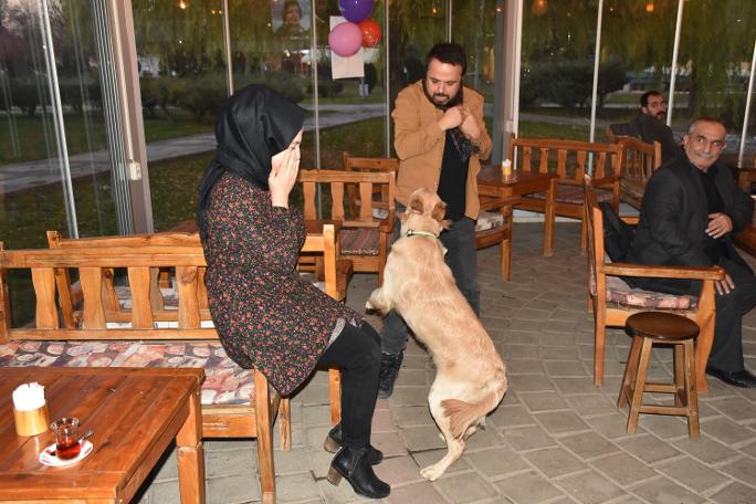 'Bobo' kadına şiddete karşı duyarlı