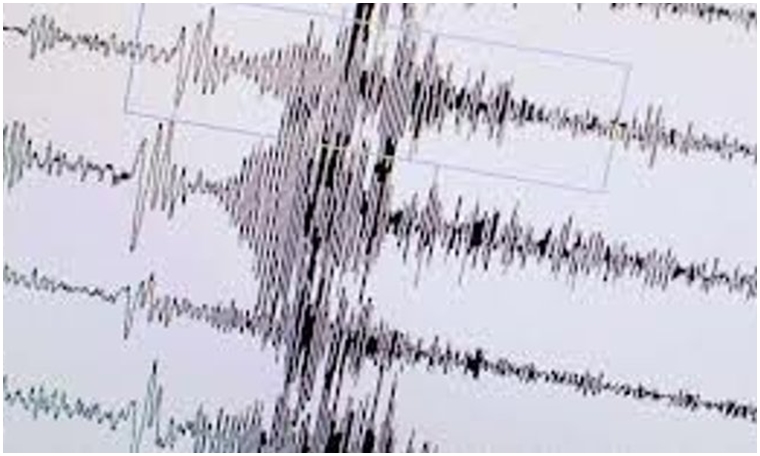 Japonya'da 6.3 büyüklüğünde deprem (08.01.2019)