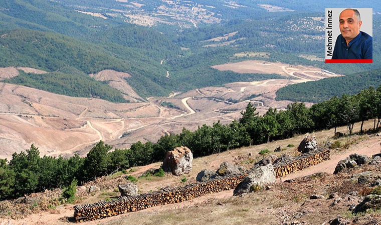 Kaz Dağları’nda ormanı, havayı, suyu, canlıları savunmaya 100 gündür devam ediyorlar