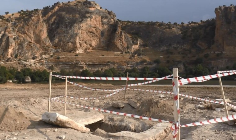 Fidan dikimi sırasında 4 iskelet bulundu