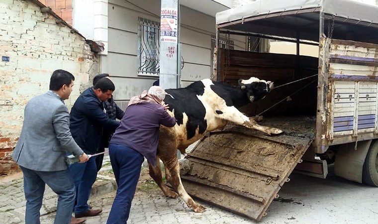 Evinde beslediği hayvanların tahliyesi için gelen polisleri bıçakla yaraladı