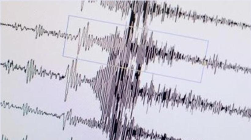 Muğla'da korkutan deprem (22.02.2019)