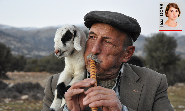 Köy köy... Ezgilerin peşinde