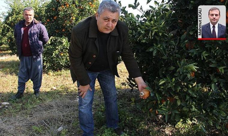 Sebze ve meyvede hortum zammı