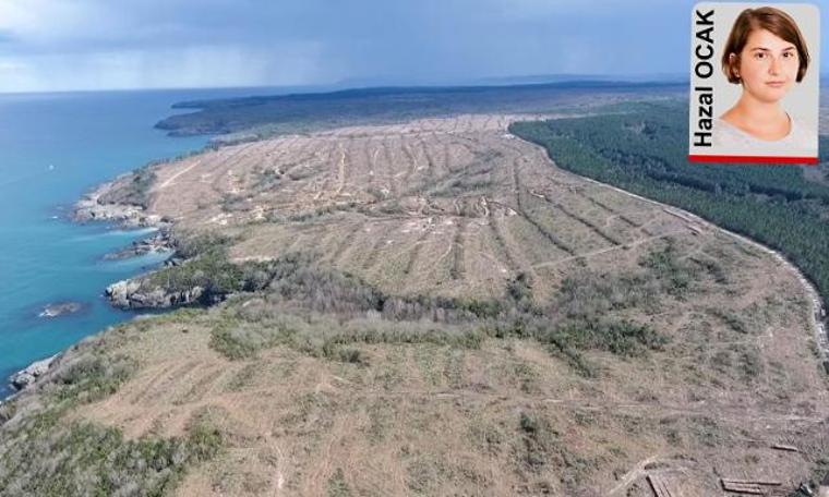 Çevre Bakanlığı’ndan, doğa harikası Sinop’u nükleer çöplüğe çevirecek adım