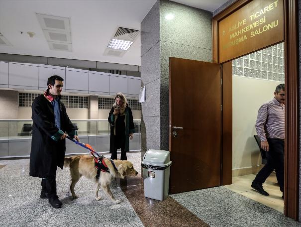 Rehber köpek duruşma salonunda