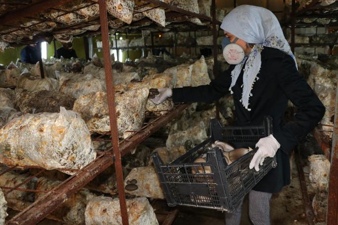 "Eşimin eline bakmak istemiyorum" dedi, kendi işini kurdu