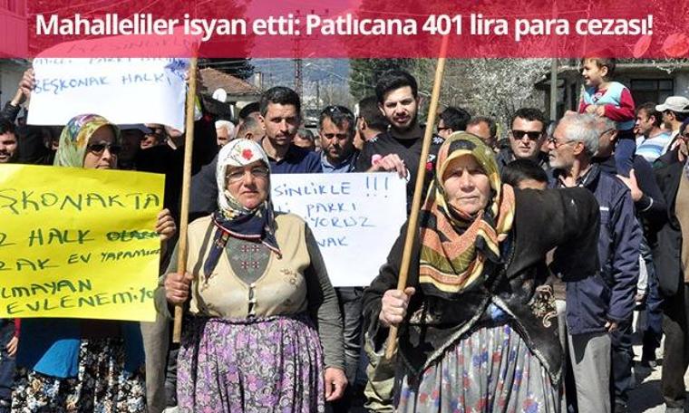 Mahalleli isyan etti: Patlıcana 401 lira para cezası!