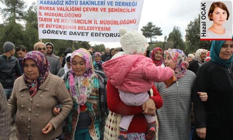 Karaağız köylülerini sevindiren karar: Mahkeme enerji santralı projesini durdurdu