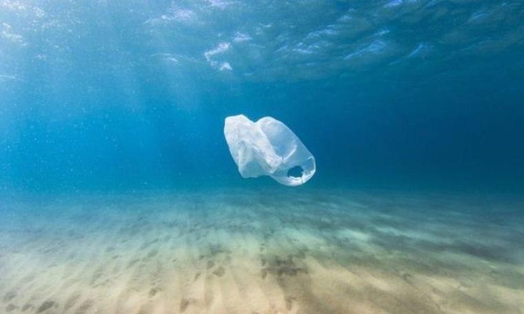 Ölü balinanın karnından 40 kilo plastik çıktı