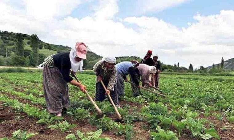 Bakan ödemeler için tarih verdi