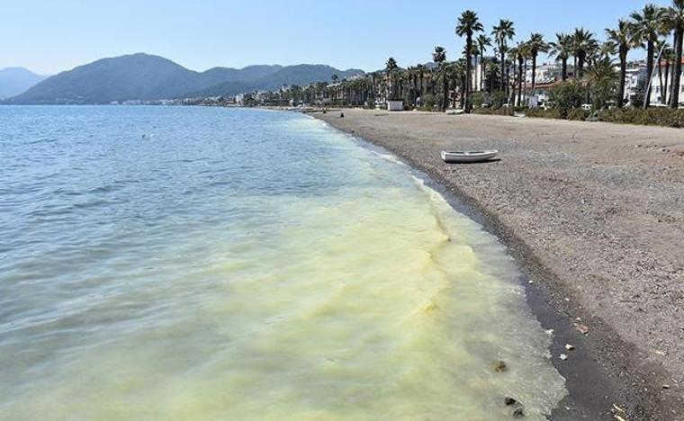 Marmaris'te denizin rengi sarıya döndü