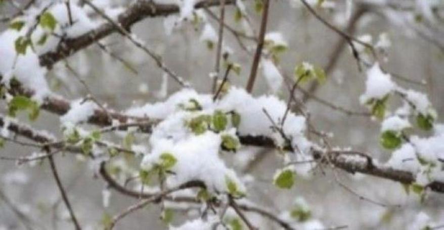 Meteoroloji'den don uyarısı!