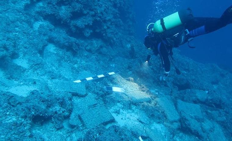 Antalya'da bulundu! Dünyada sadece 5 örneği var