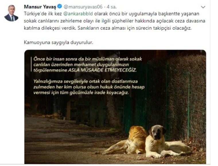 Mansur Yavaş'tan katledilen köpeklerle ilgili flaş hamle