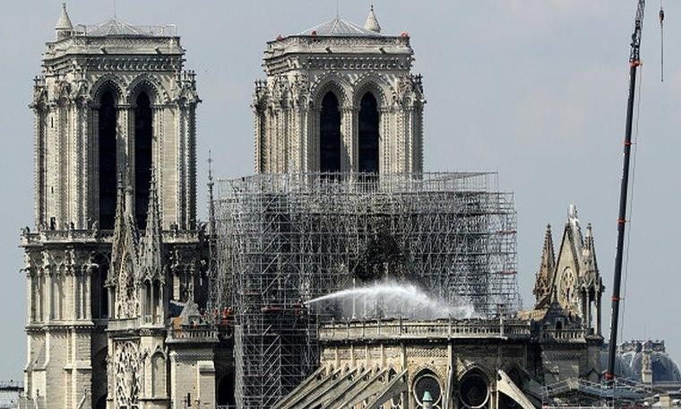 Notre-Dame'daki arılar yangından sağ kurtuldu