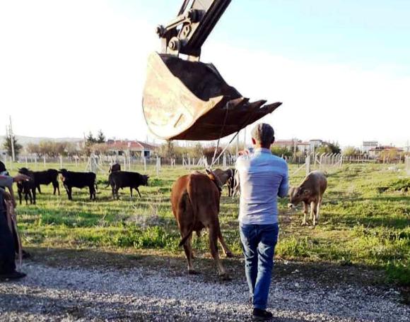 Hayrete düşüren görüntü! Yurttaşlar yardıma koştu