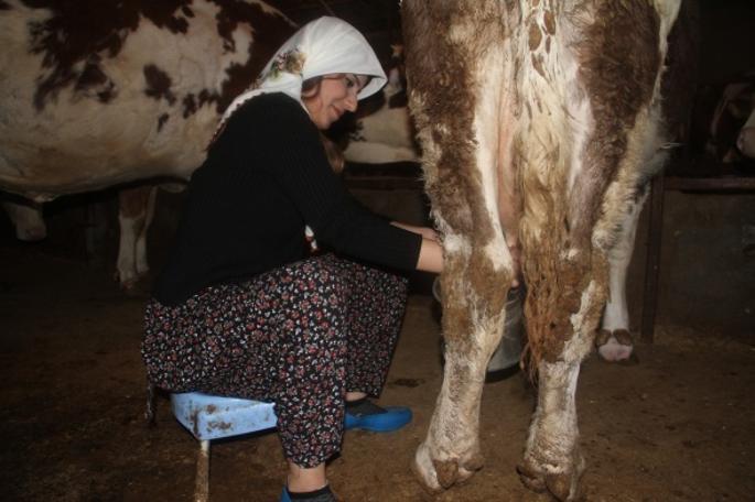 Elazığ'ın tek kadın ve en genç muhtarı!