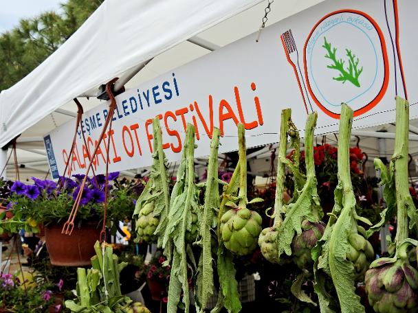 Alaçatı Ot Festivali için geri sayım