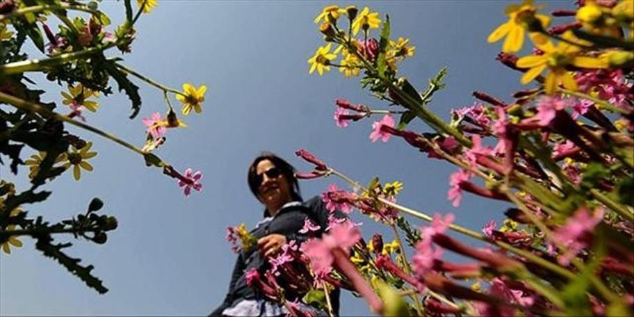 Meteoroloji'den güzel haber! (30.04.2019)