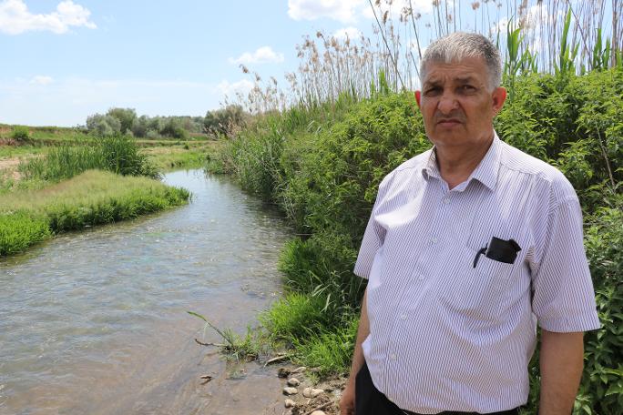 Kırklareli'nde çevre felaketi: Derede balık ölümleri