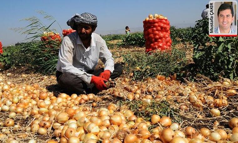 Çiftçilerin 2002’de 530 milyon lira olan borcu 2018 sonunda 190.5 kat arttı