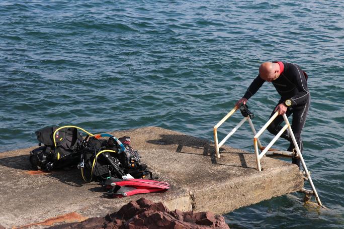 Dünyada sayılı bölgede bulunuyor, Marmara’da da çıktı (25.05.2019)