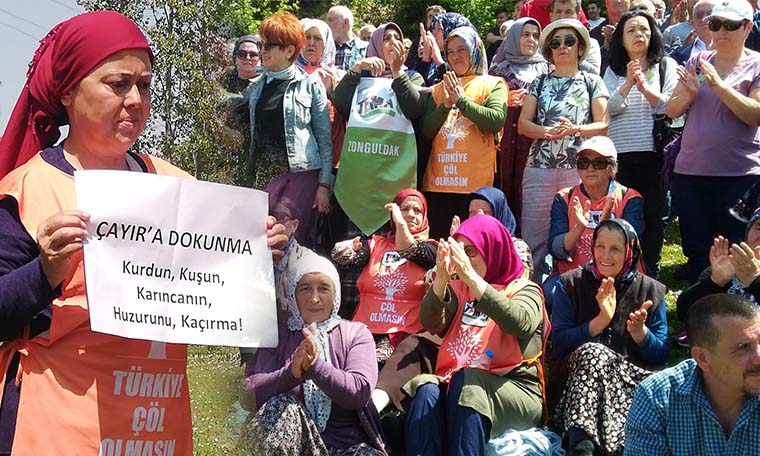 Zonguldak Çaycuma'da proje iptal edildi, 3 bin 133 ağaç kurtuldu