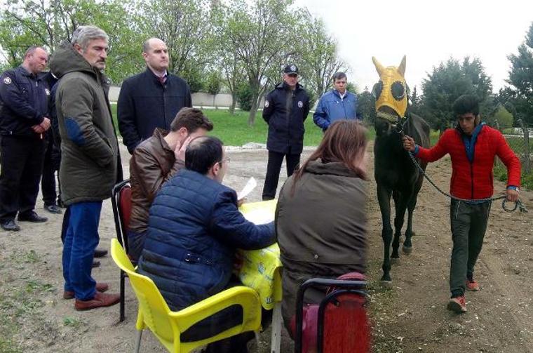 İcradan satılık yarış atına yine alıcı çıkmadı