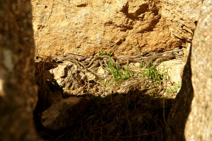 Yer Hakkari: Görenler şaşkına döndü