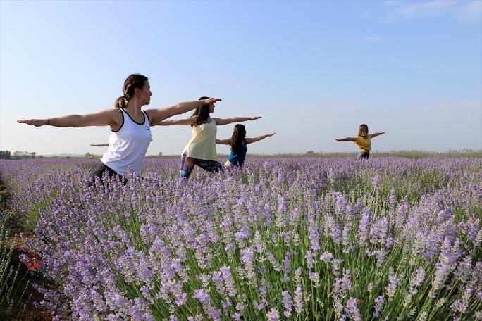 Yer Edirne: Lavanta tarlasında yoga sonra mesai