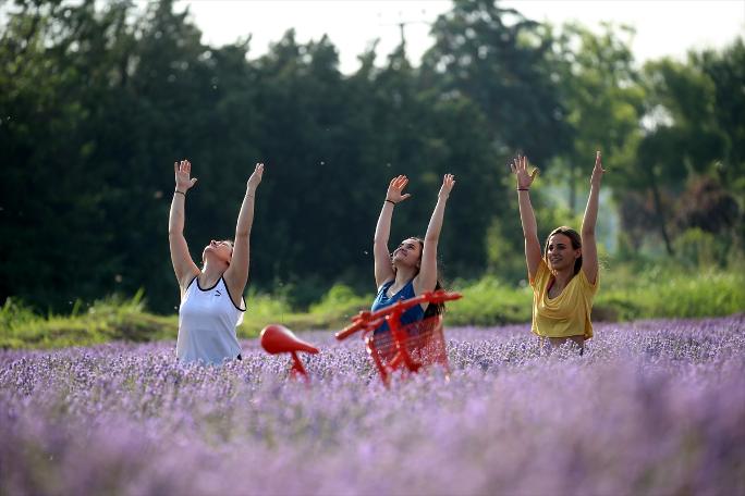 Yer Edirne: Lavanta tarlasında yoga sonra mesai