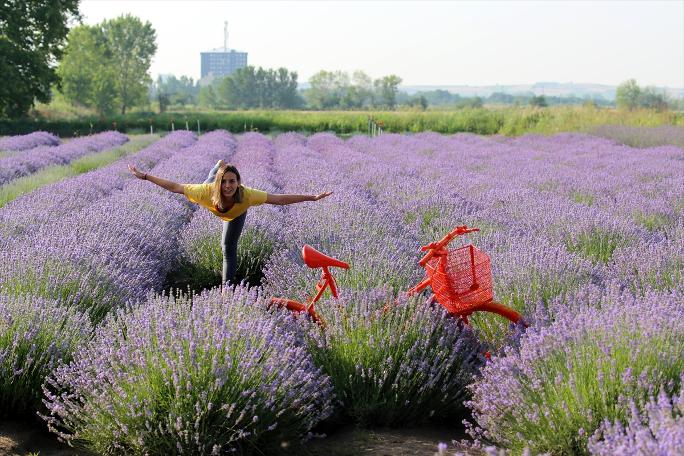 Yer Edirne: Lavanta tarlasında yoga sonra mesai