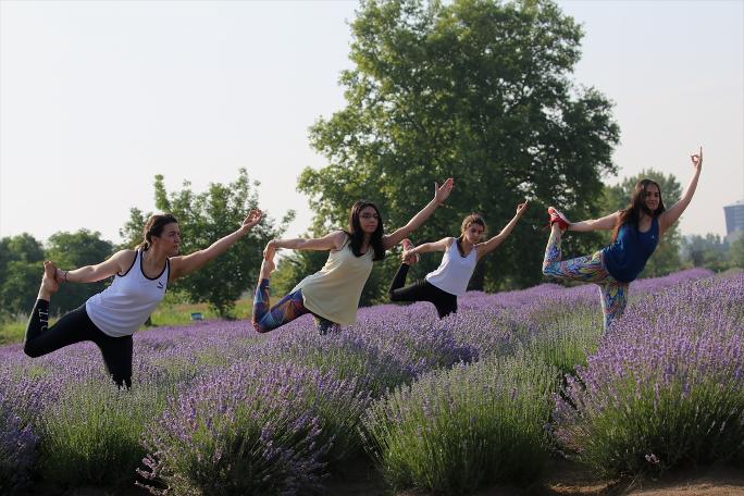 Yer Edirne: Lavanta tarlasında yoga sonra mesai