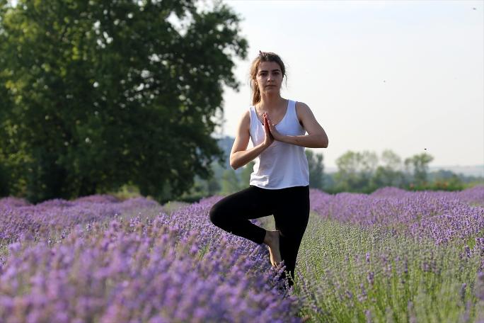 Yer Edirne: Lavanta tarlasında yoga sonra mesai