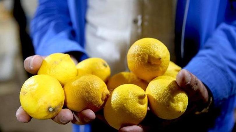 Limonlar depoda çürüdü fiyatlar artışa geçti