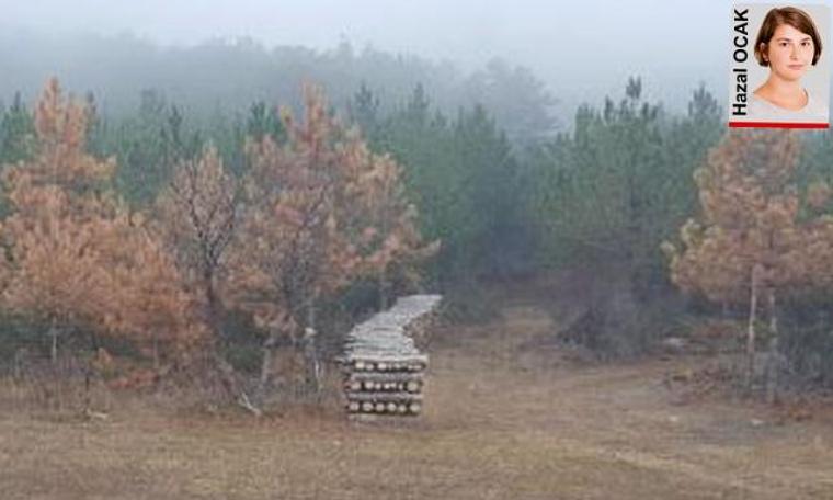 Murat Dağı’nda altın-gümüş madeni planlanan bölge orman alanı olarak görünüyor