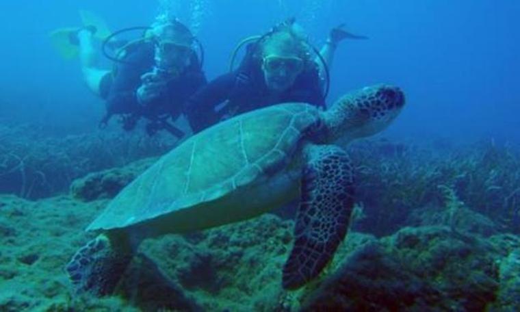 Antalya'da dalış turizmi yoğun ilgi görüyor