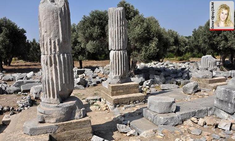 Sığacık’taki Teos antik kenti bu yıl İş Bankası desteğiyle kazılıyor