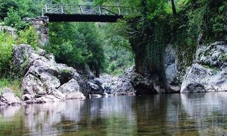 Ordu Turnasuyu Irmağı’nda HES tekrar gündeme geldi. Toplanan 600 imza valiliğe verildi