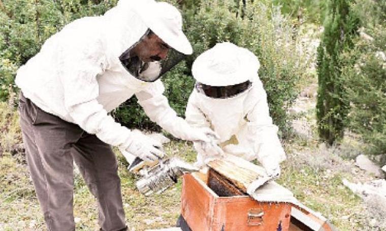 Arıcılık “Büyükşehir” desteği ile yaygınlaşıyor