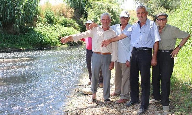 Küçük Menderes'te kirlilik: Bu suya temas eden üreticilerimiz hasta oluyor