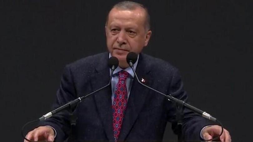 Erdoğan oylama yaptırdı: Japonya'da bir başkonsolosluk daha açılıyor