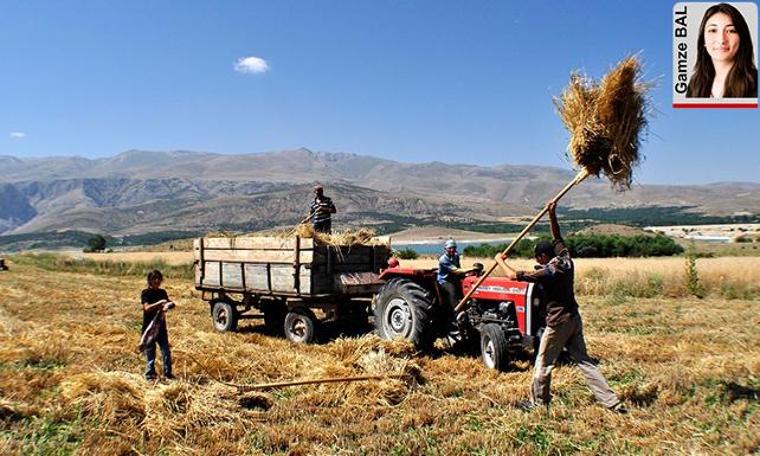 Çiftçi maliyetlerin altında eziliyor