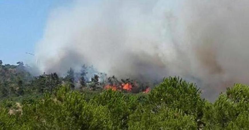 Antalya'da orman ve tarım arazisinde yangın