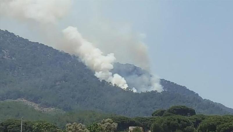 Muğla'da orman yangını! Ekipler güçlükle müdahale ediyor