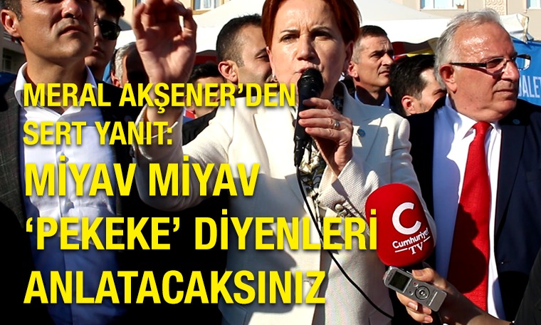 Akşener'den sert yanıt: Miyav miyav 'pekeke' diyenleri anlatacaksınız