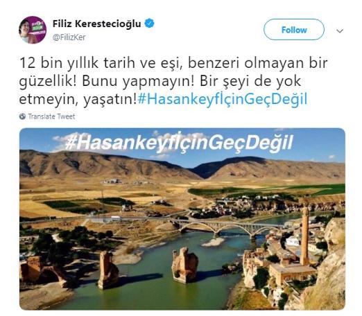 Milletvekilleri de ''Hasankeyf için geç değil'' dedi