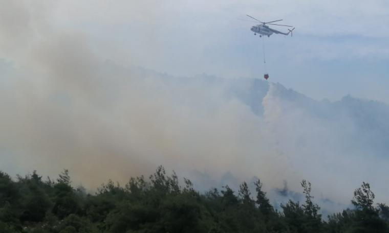 Bilecik'te orman yangını; 10 saatte kontrol altına alındı