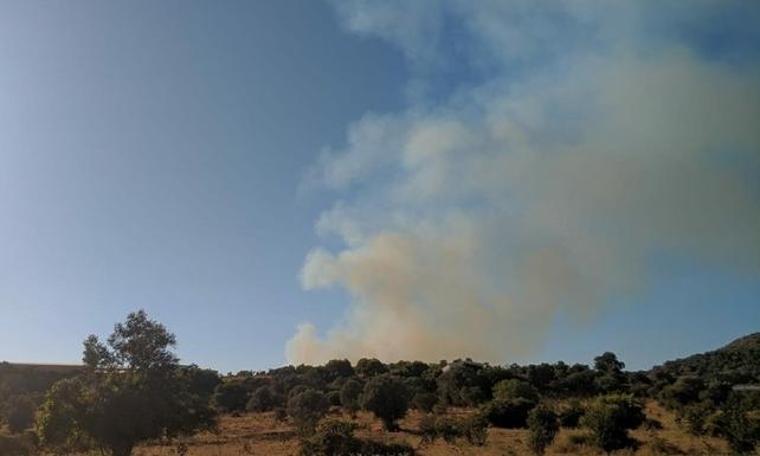 Bodrum'da yangın! Havadan müdahale ediliyor